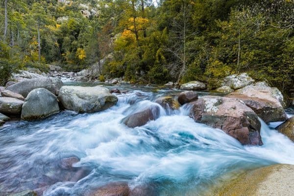 Fluss Figarella im Wald von Bonifatu auf Korsika
