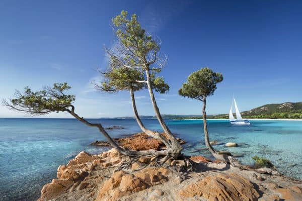 Strand von Palombaggia auf Korsika mit Segelboot im Hintergrund